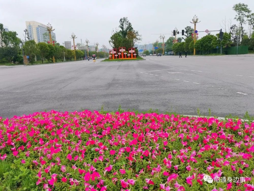 鎮(zhèn)雄南部新區(qū)最新動(dòng)態(tài)，鄰里間的溫情故事展現(xiàn)溫情鄰里關(guān)系