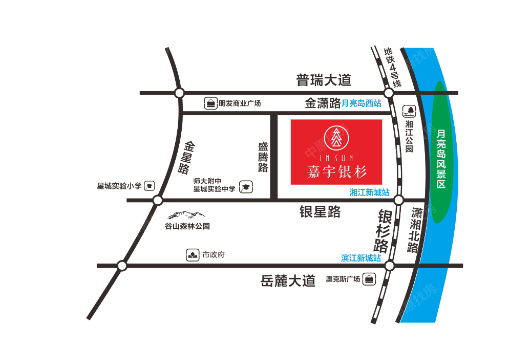 嘉宇銀杉最新動態(tài)揭秘，最新進(jìn)展與資訊匯總