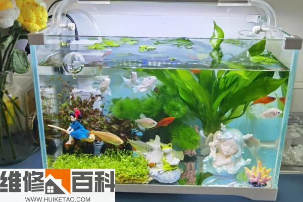 水族箱最新排名揭秘，巷弄深處的隱藏寶藏