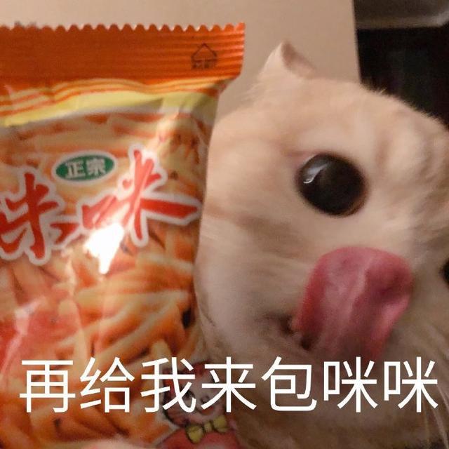 咪咪愛最新下載，時代記憶與回響的匯聚點