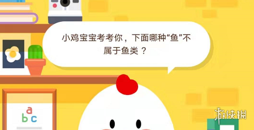 小雞最新答案，尋找內(nèi)心平靜的奇妙旅程