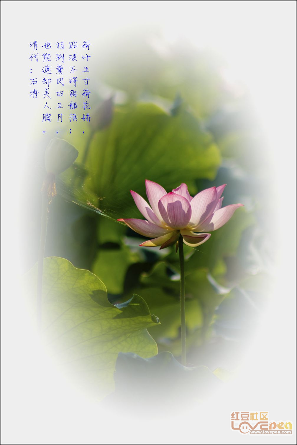 復(fù)合實木多層板 第89頁