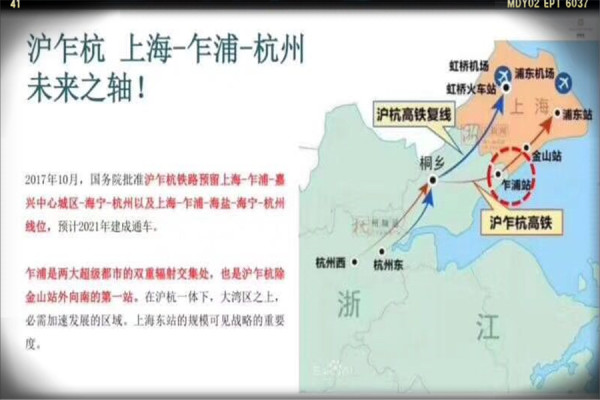 乍浦最新動態(tài)，最新消息匯總