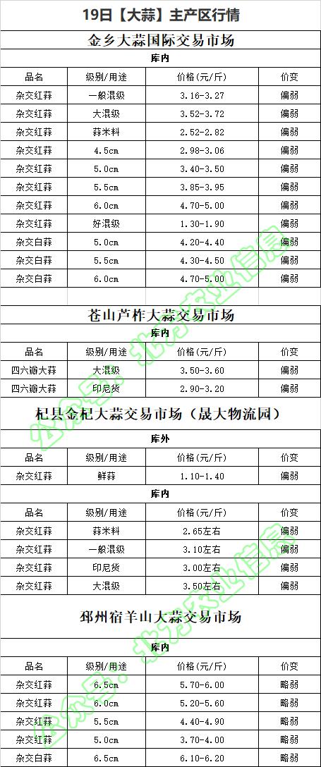 全國(guó)大蒜價(jià)格最新行情走勢(shì)詳解，如何把握動(dòng)態(tài)與預(yù)測(cè)未來(lái)趨勢(shì)