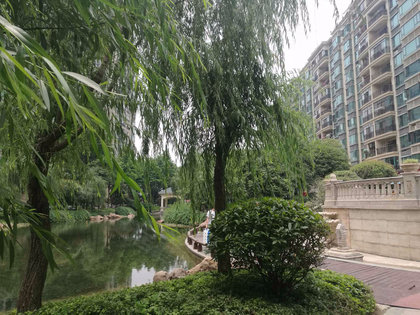 漢陽恒大綠洲最新房價(jià)動(dòng)態(tài)，變化中的學(xué)習(xí)與自信的力量