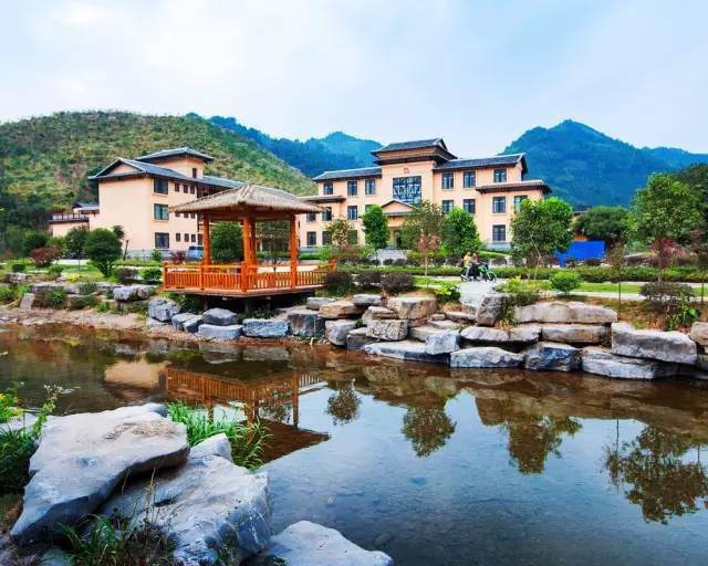 廣西蒙山高速最新動(dòng)態(tài)，駛向自然美景，探尋內(nèi)心平靜的旅程