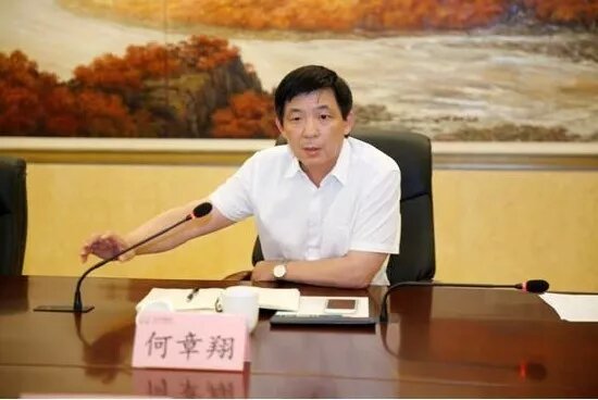 鎮(zhèn)江雷志強的最新任職，多維度視角下的深入探討