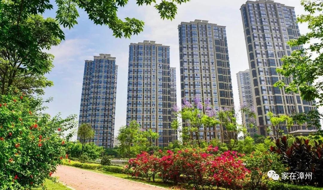 漳州國(guó)貿(mào)潤(rùn)園最新房?jī)r(jià)揭秘，家的故事與溫馨家園的呈現(xiàn)