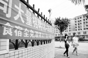 河源東源仙塘最新招聘，時(shí)代背景下的新機(jī)遇啟航