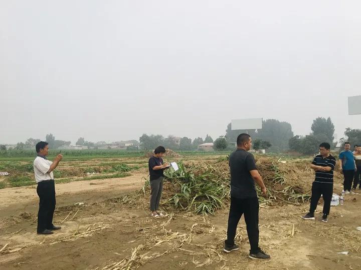 永年區(qū)最新工程項(xiàng)目，時(shí)代印記與未來展望之路